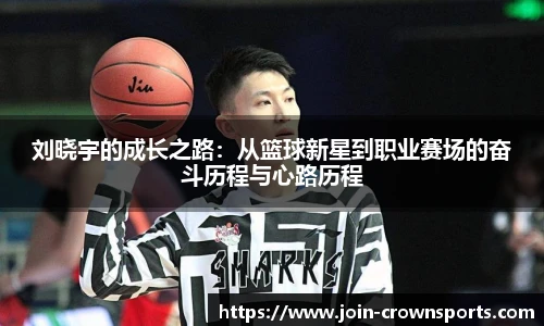 皇冠体育crown平台